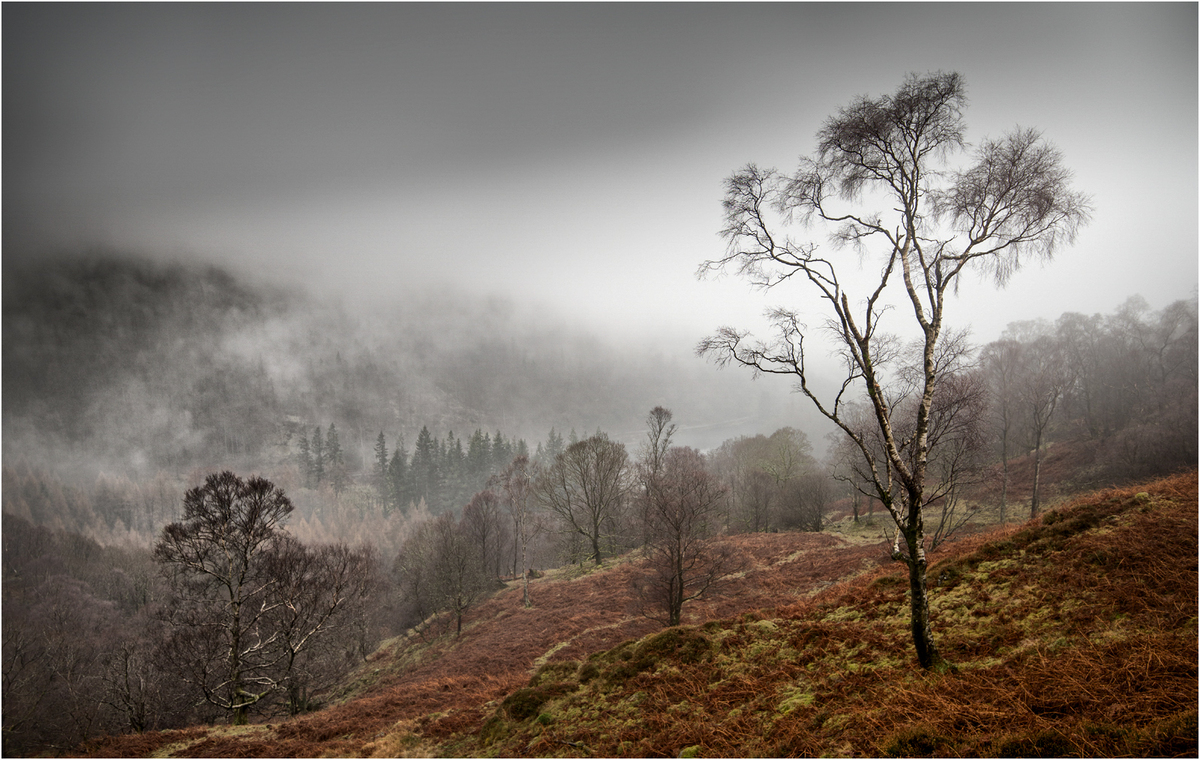 1st Mist on Holme Fell by Ken Rennie